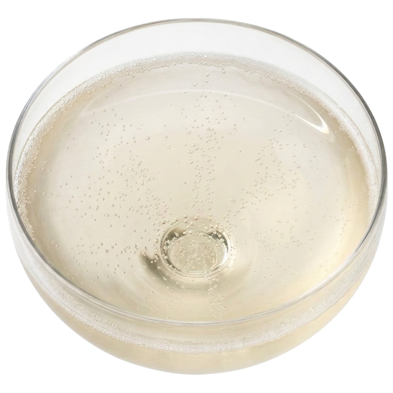Pale gold sparkling wine in glass