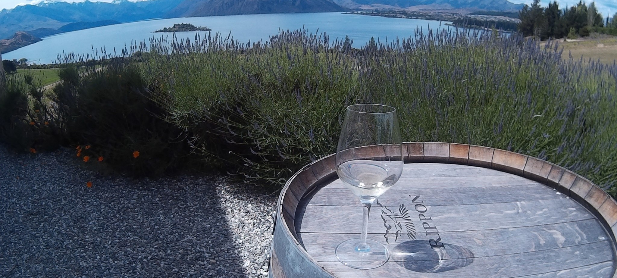 A glass on a barrel overlooking Lake Wanaka