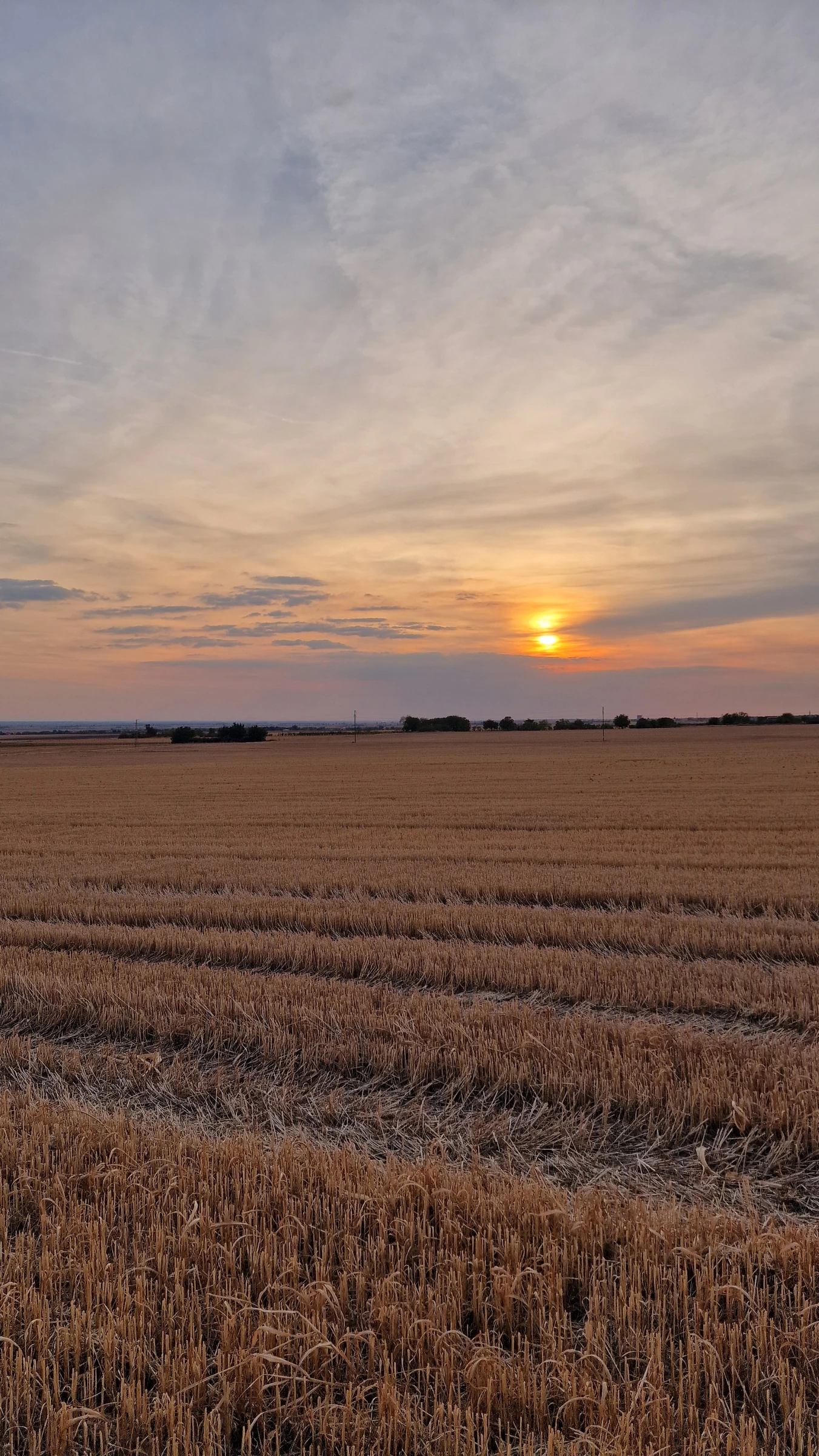 Sunset over the harvested fields of Srem