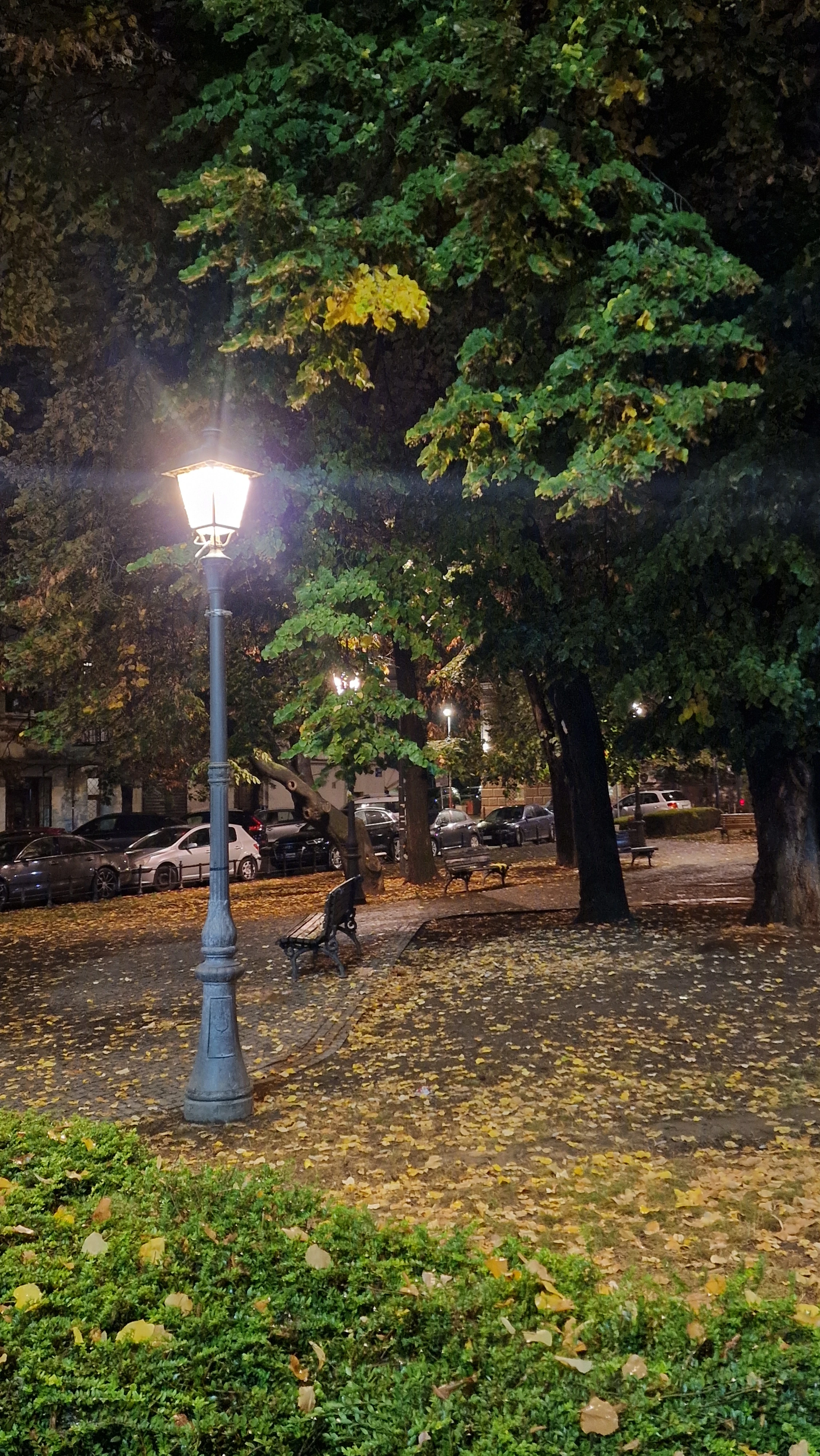 An October evening in Zemun