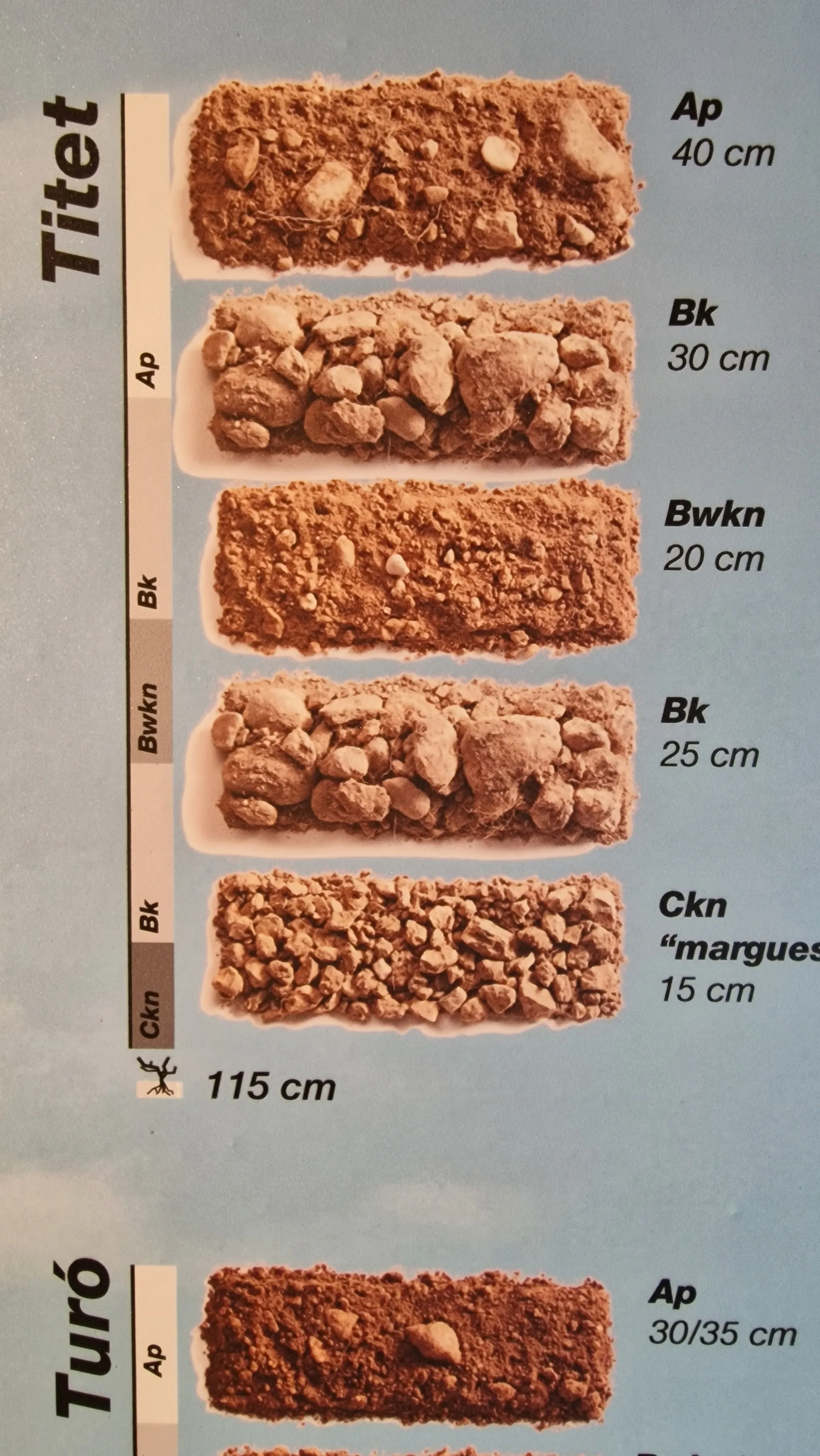 Titet and Turo soil profiles at Castellroig
