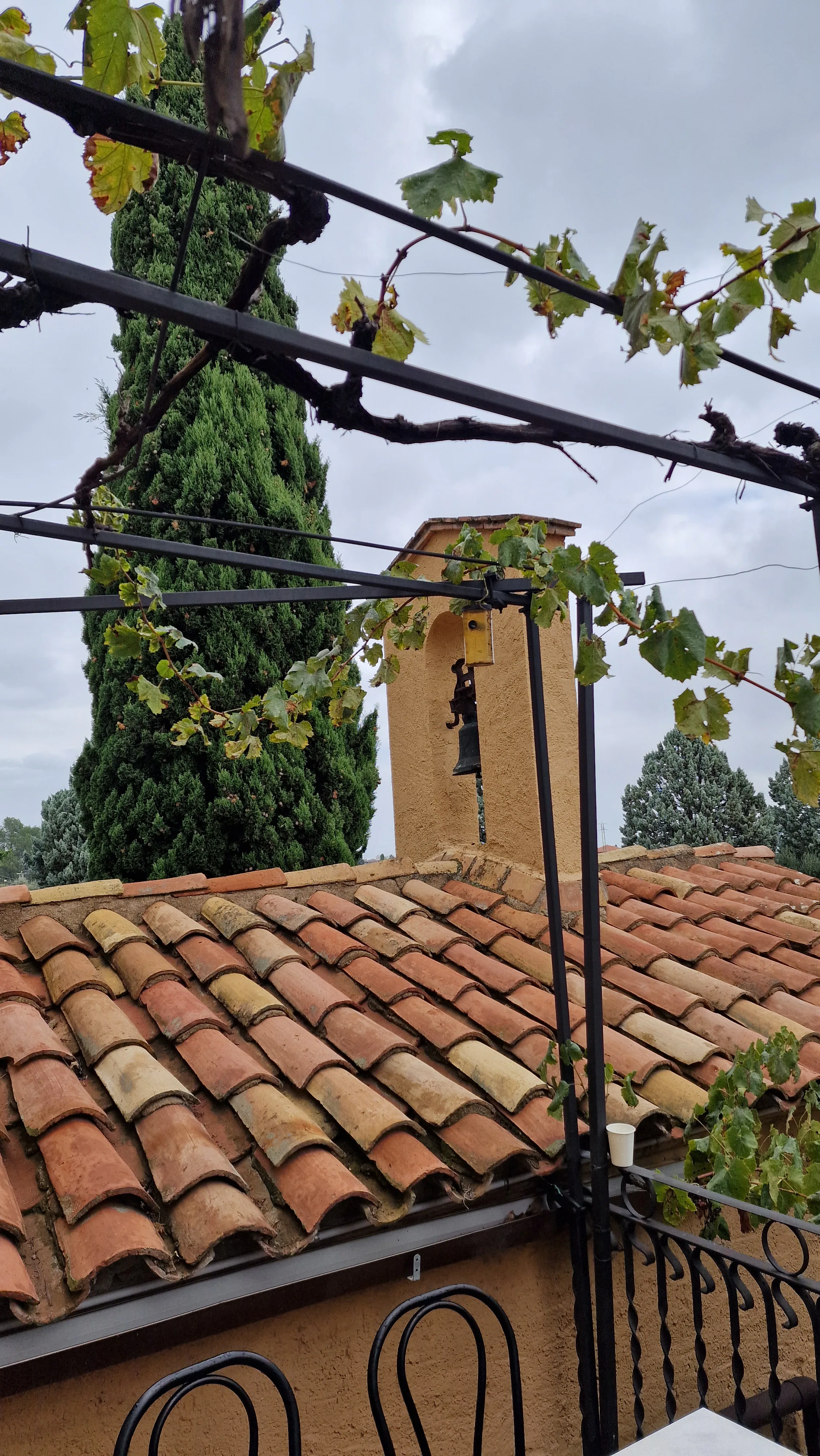 Castellroig Vermell photo 10