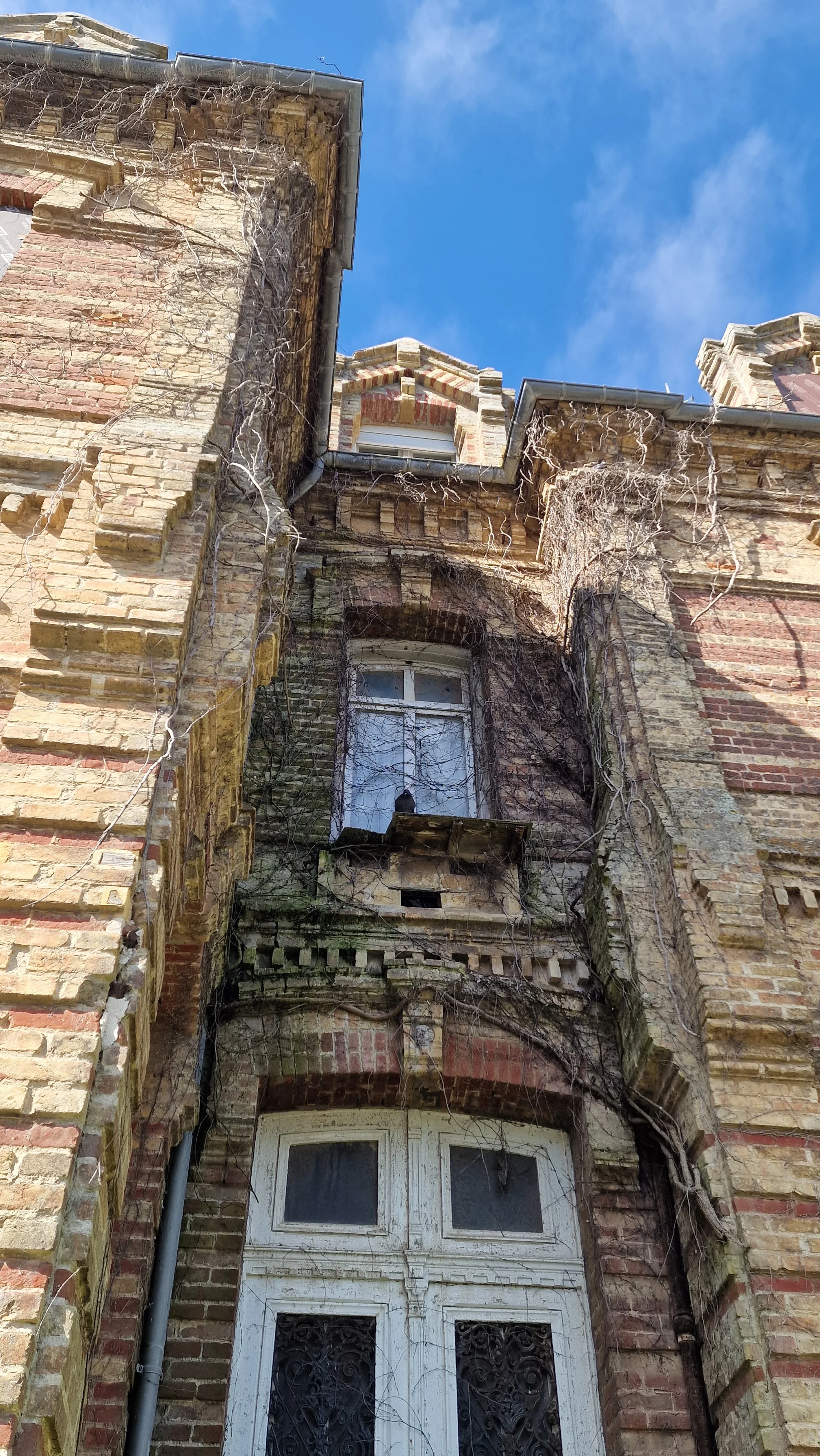 Champagne Deutz Brut Classic NV photo 5