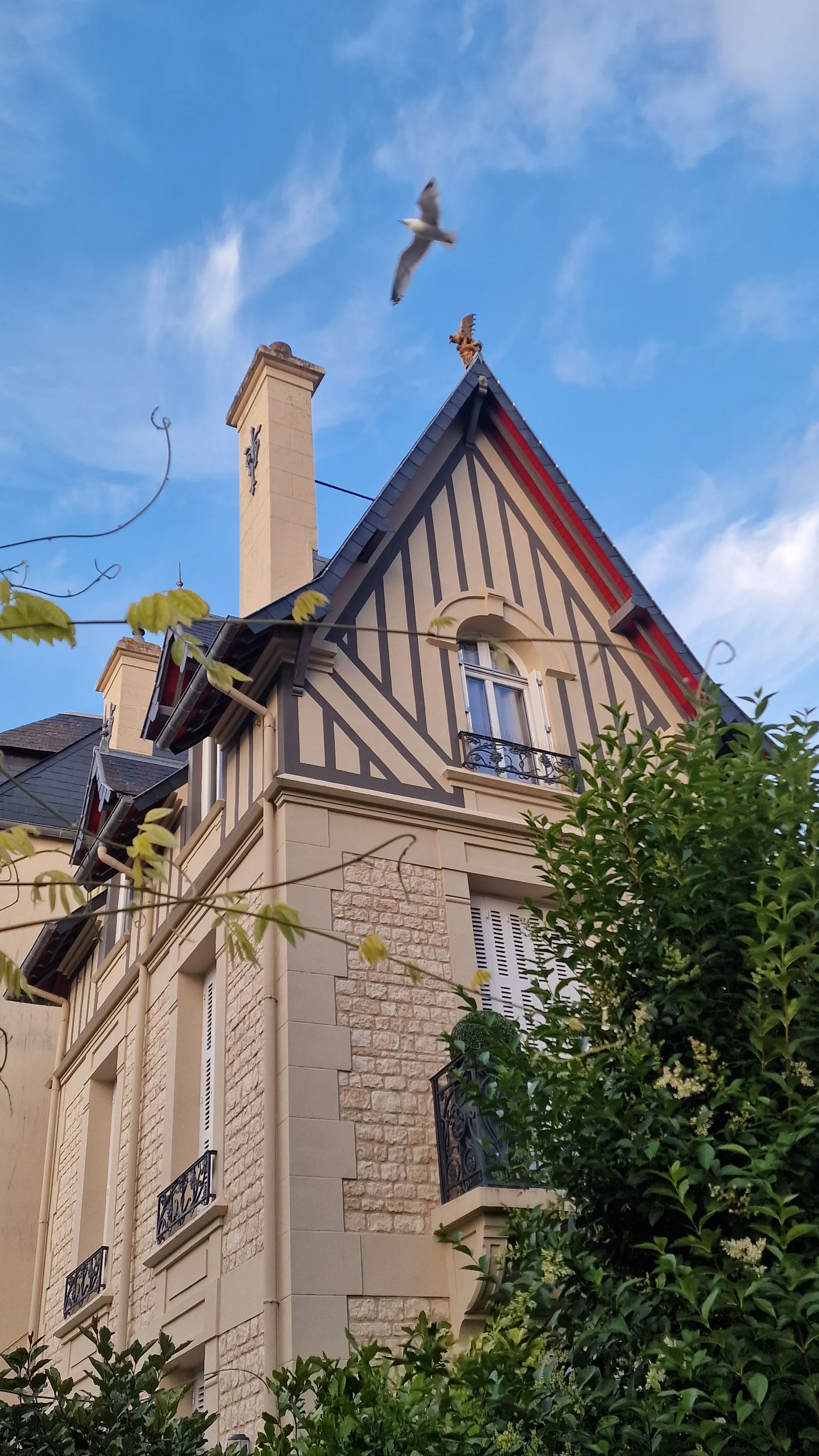 Domaine Larue Chassagne-Montrachet Rouge 2024