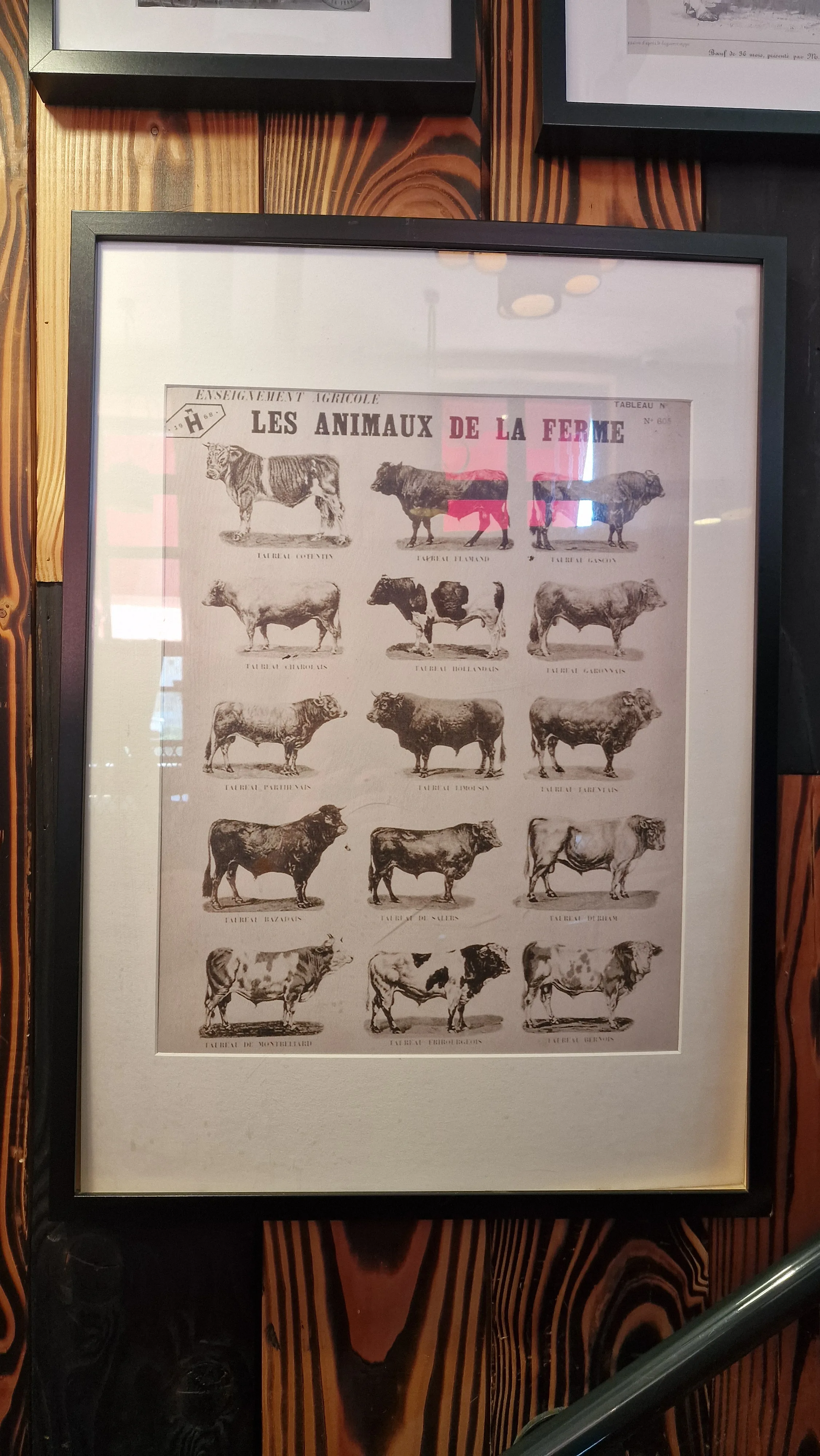 Steakhouse wall art