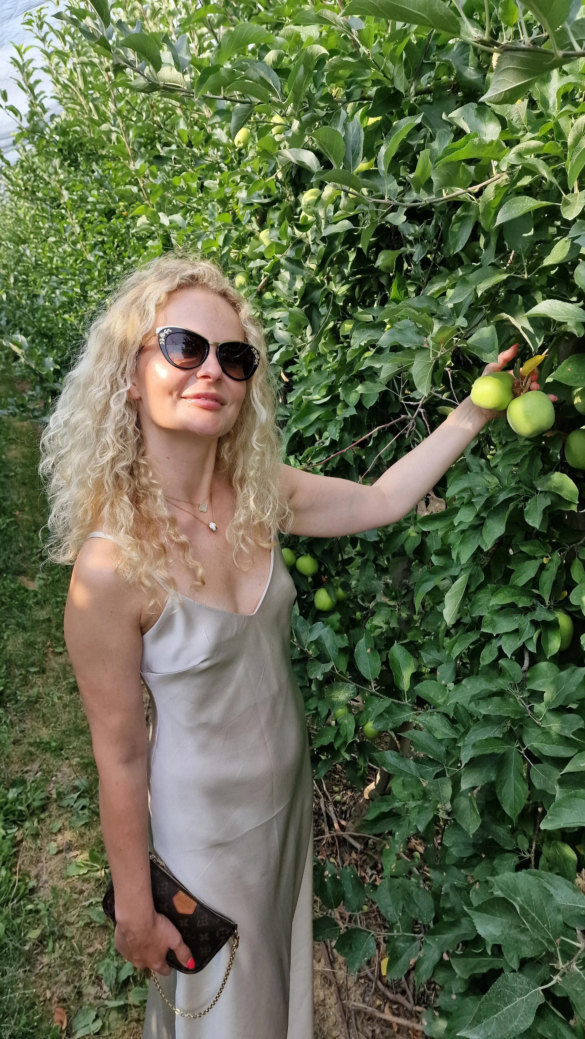 Deuri&cacute; apple orchard at Mala Remeta
