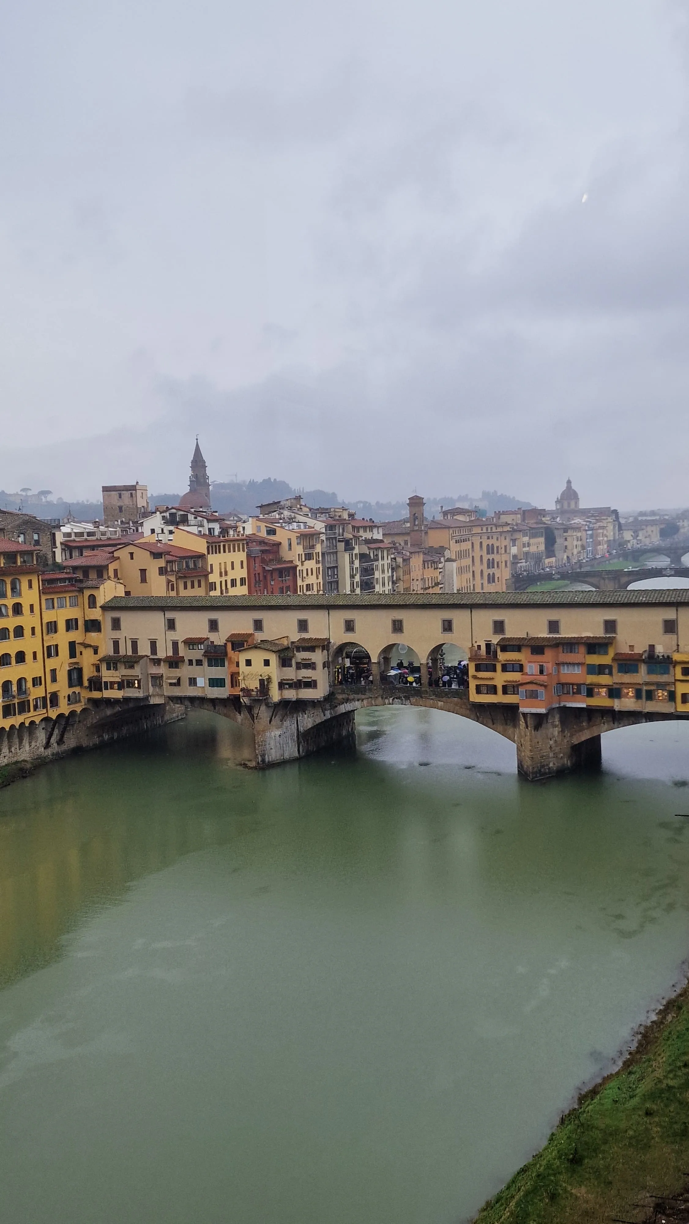 Tignanello